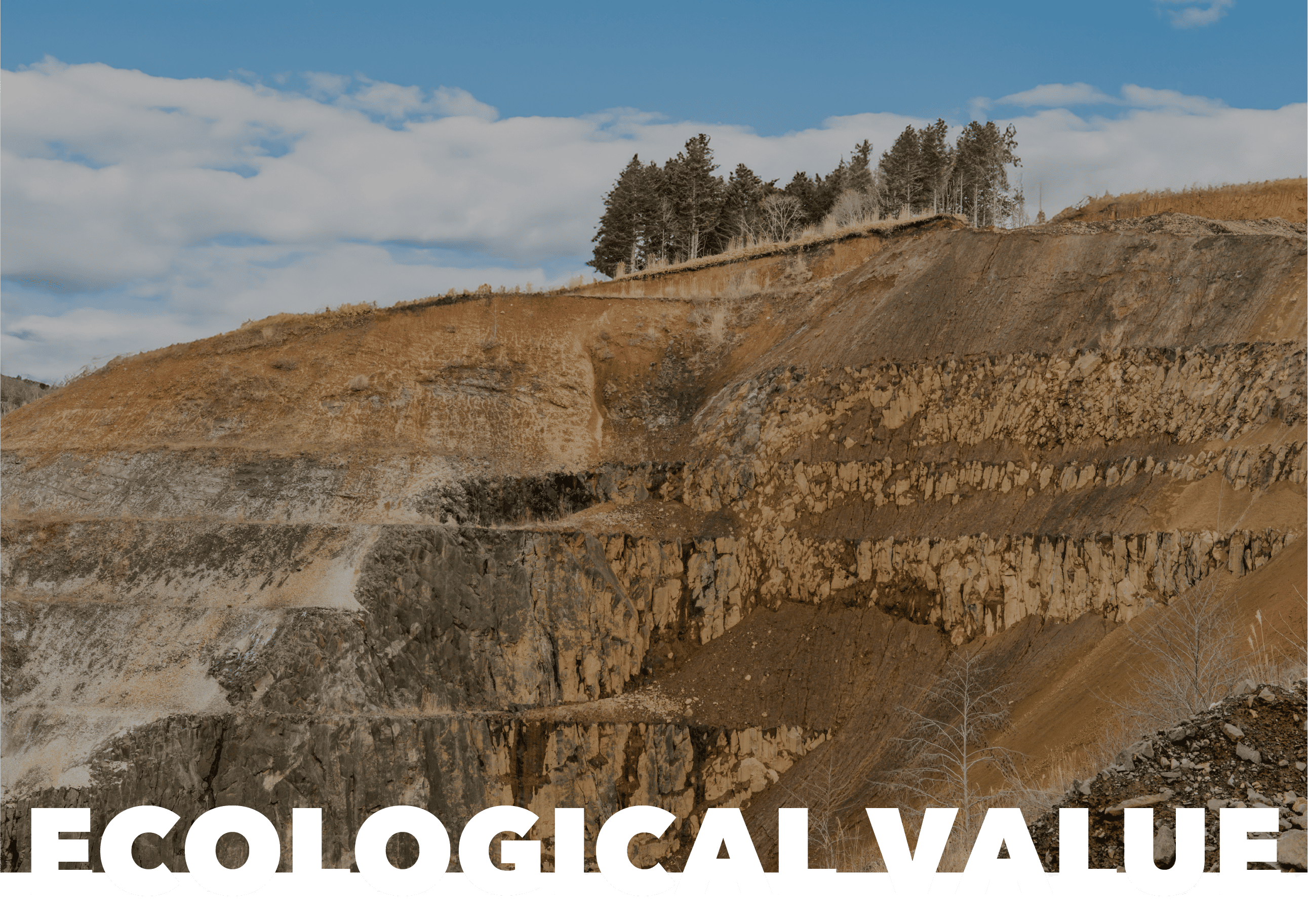 ECOLOGICAL VALUE